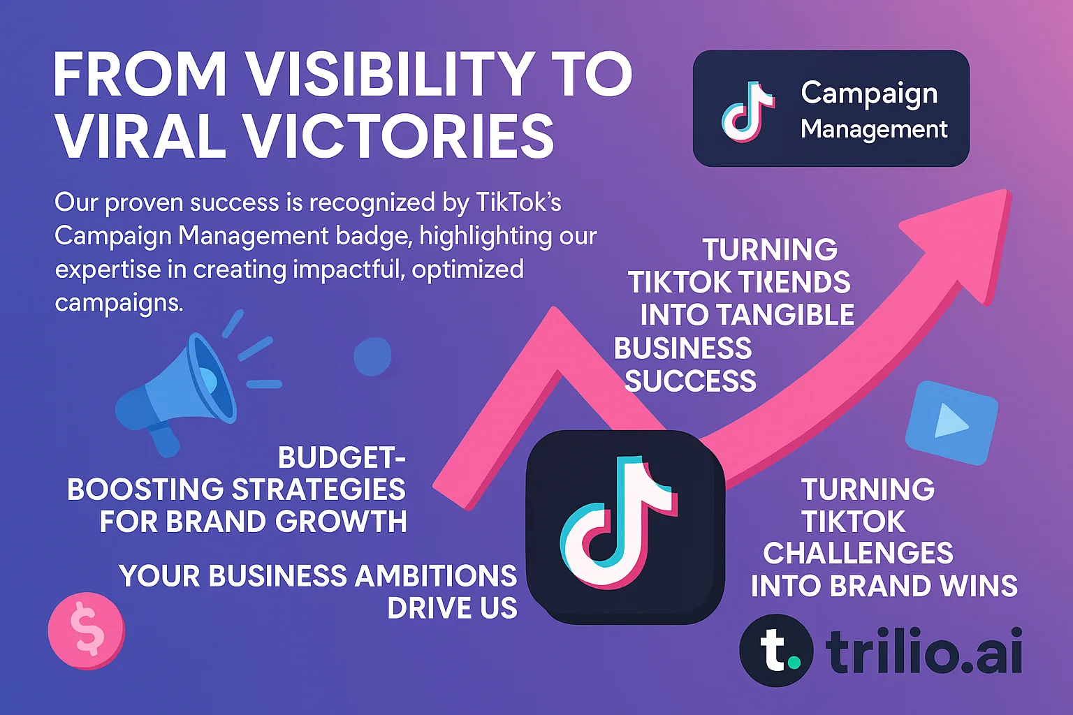TikTok Success Stories Infographic